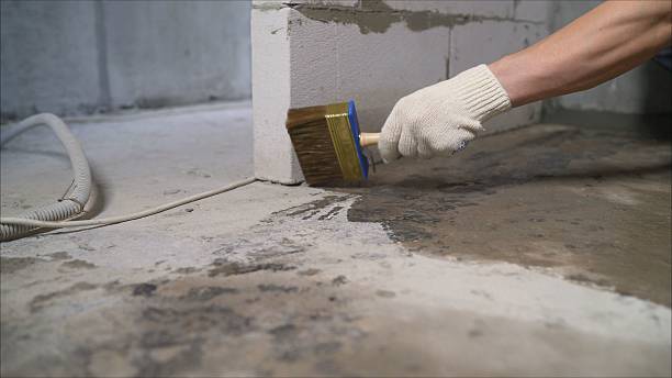 Top rated local Wet Basement Repair specialists in Moxahala, OH